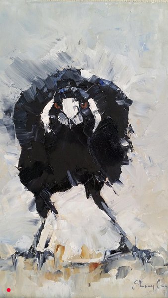 Magpie X - 15cm x 20cm