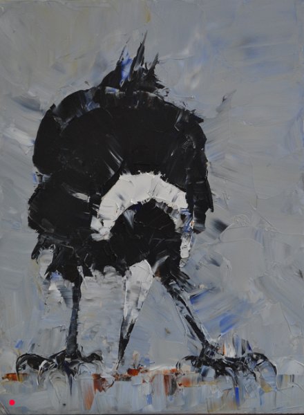 Magpie XII - 15cm x 20cm