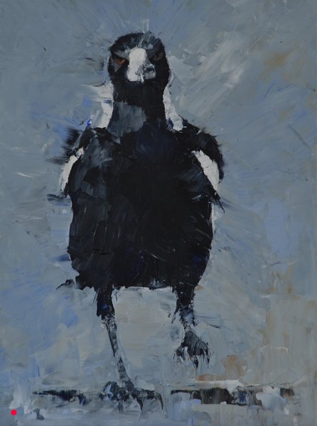 Magpie running VIII - 15cm x 20cm