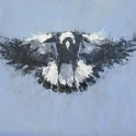 Magpie V - 43cm x 42cm