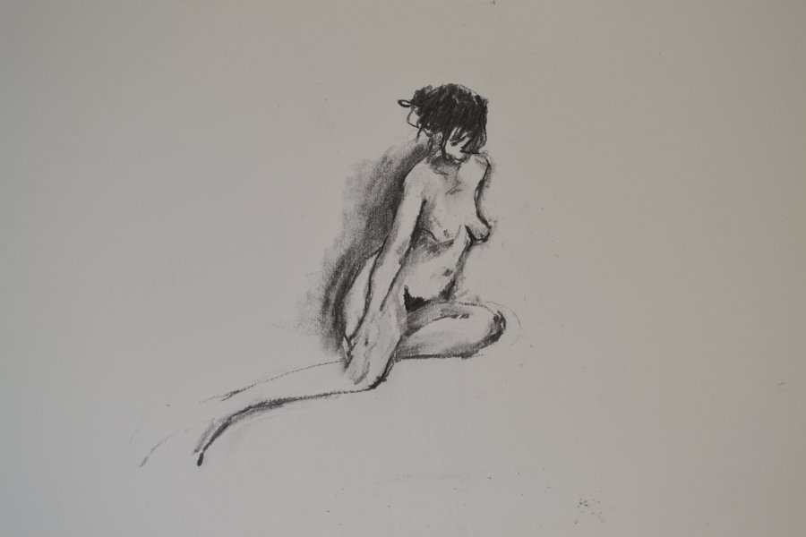 Figure, side view, 21 - 34cm x 50cm