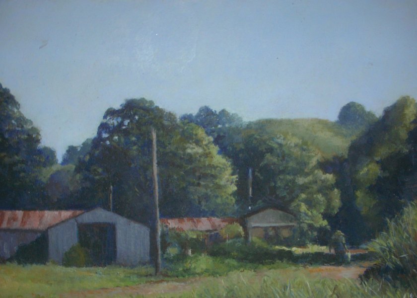 Mullumbimby Farm - 15cm x 20cm