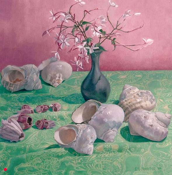 Shells on green sarong 