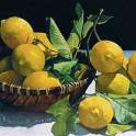Lemons in basket