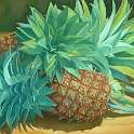 Pineapples
