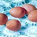 Eggs on lace - 14cm x 20cm