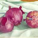 Red Onions - 20cm x 15cm